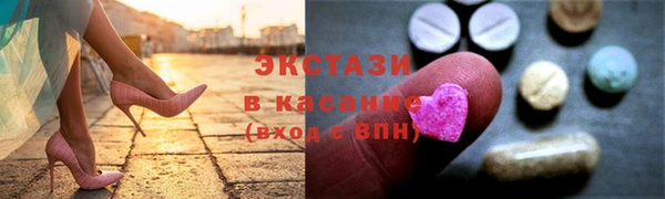 сатива Новозыбков