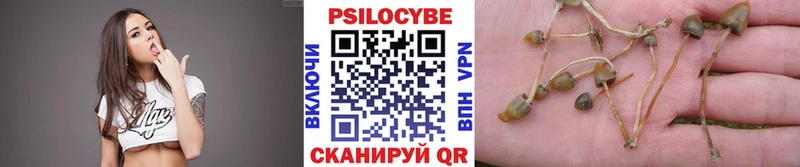 Купить  Котовск  Псилоцибиновые грибы мухоморы 